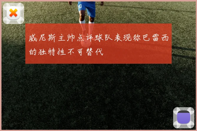 威尼斯主帅点评球队表现称巴雷西的独特性不可替代