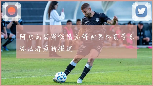 阿尔瓦雷斯伤情无碍世界杯前景乐观记者最新报道