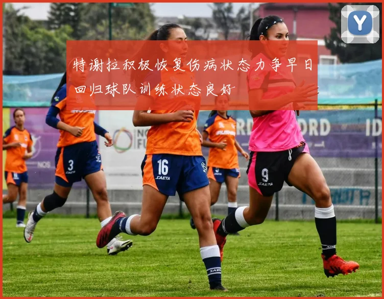 特谢拉积极恢复伤病状态力争早日回归球队训练状态良好