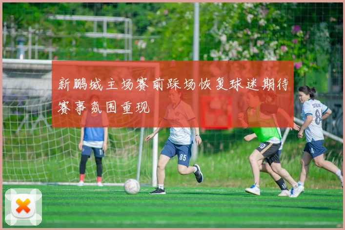 新鹏城主场赛前踩场恢复球迷期待赛事氛围重现